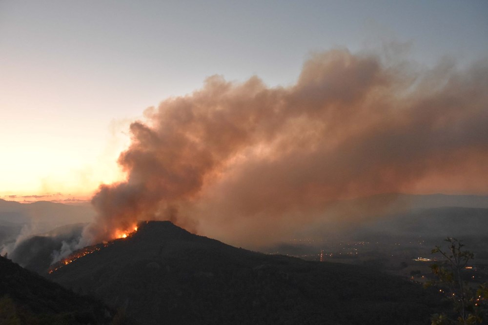 Muğla Ula'da orman yangını - 3