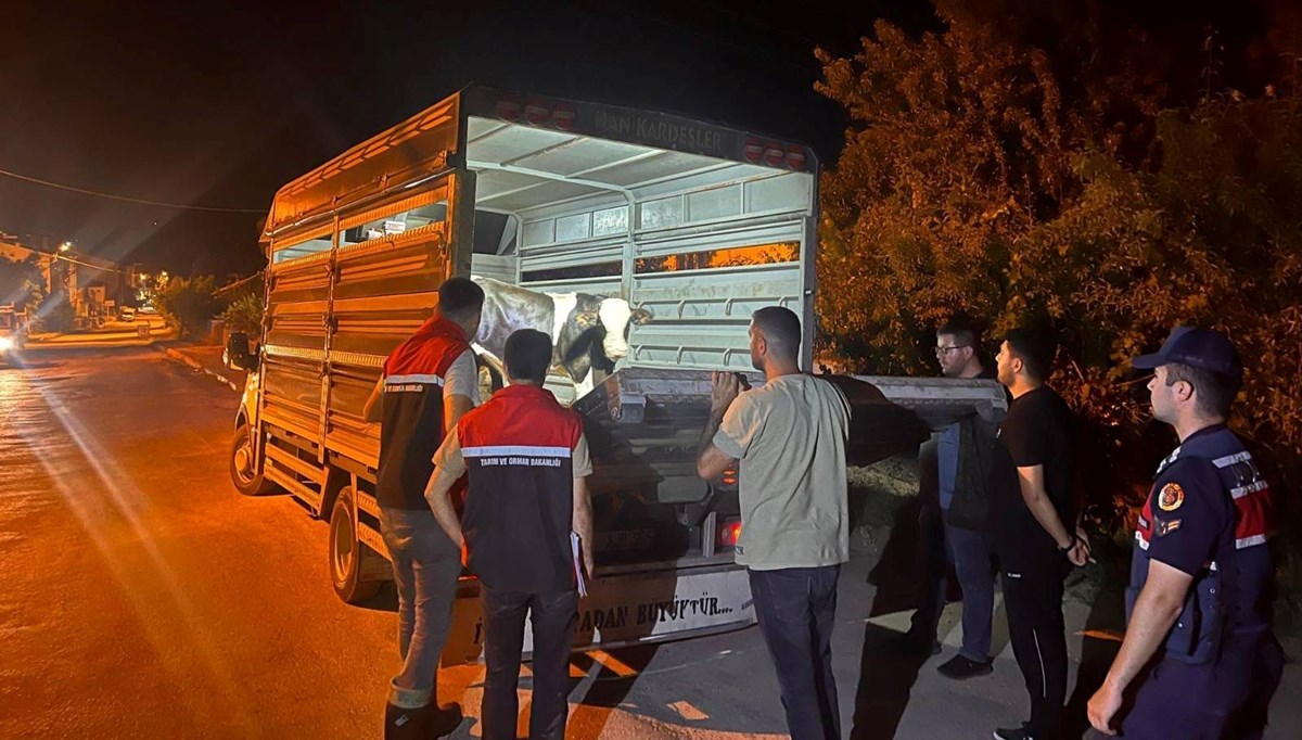Şap tedbirlerine uymadı Şap tedbirlerine uymadı