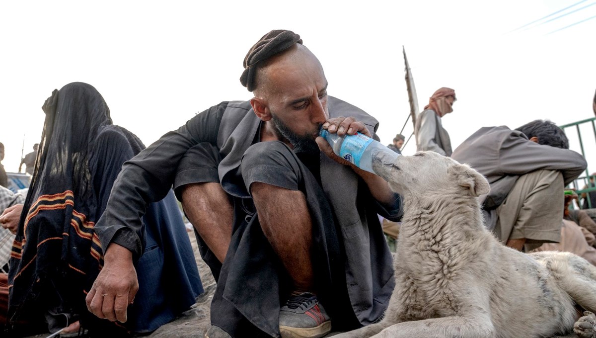Kabil'in bağımlı köpekleri
