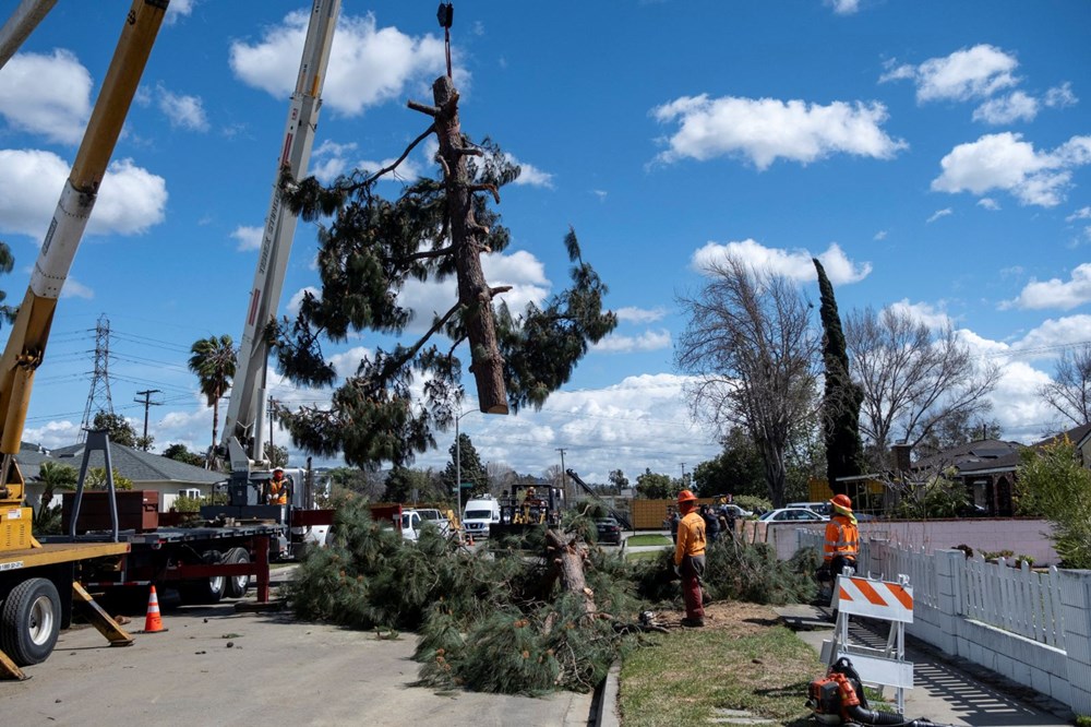 6NfYuvs2U0ukgO2s2iFS A