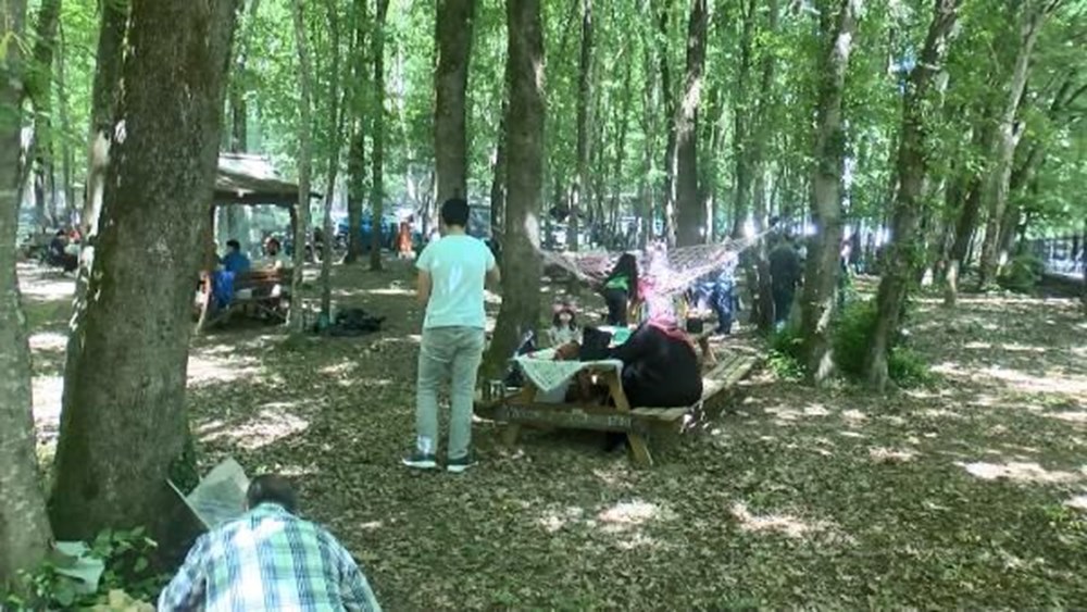 Belgrad Ormanı'nda mangal kuyruğu - 1