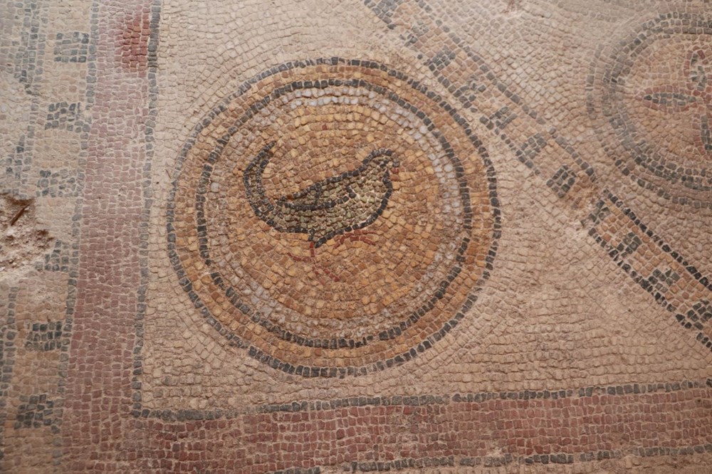 Balatlar Kazısı’nda, Zeugma'dakilere benzer mozaikler bulundu - 5