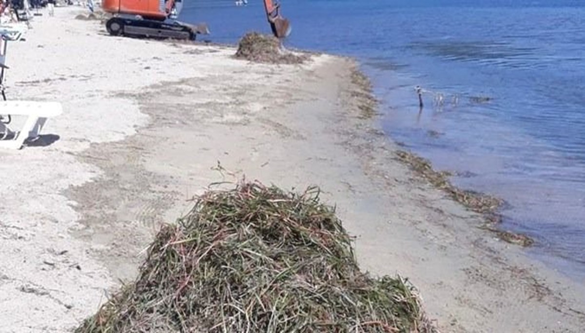 Koruma altındaki deniz çayırları söktüler: Operatöre binlerce liralık rekor ceza Koruma altındaki deniz çayırları söktüler: Operatöre binlerce liralık rekor ceza