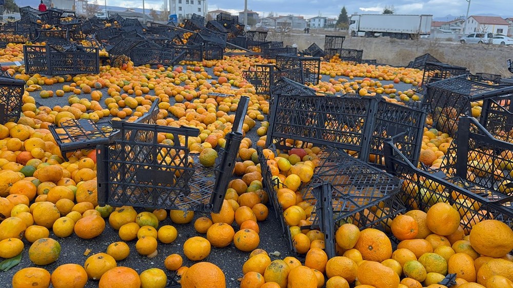 Dökülen 10 ton mandalina, kara yolunu ulaşıma kapattı! - 2