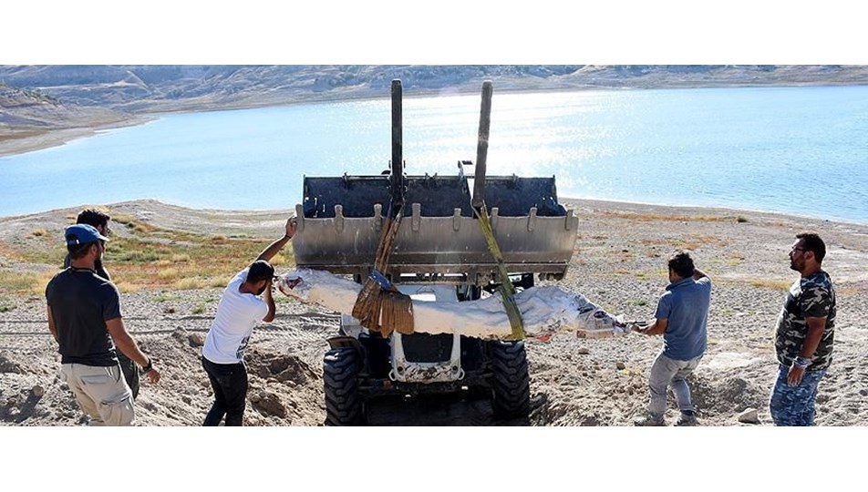 7,5 milyon yıllık fosiller özel yöntemle taşındı