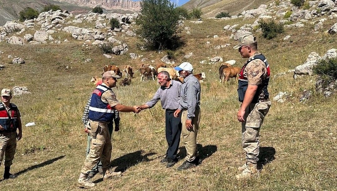 Kayıp hayvanları jandarma buldu