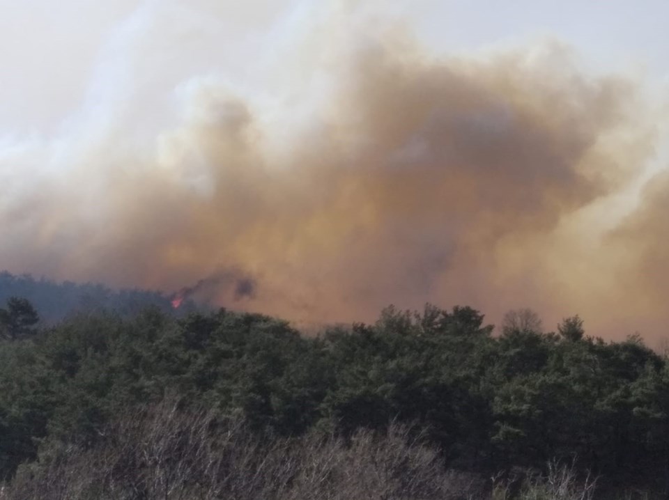 Çanakkale'de orman yangını - 1