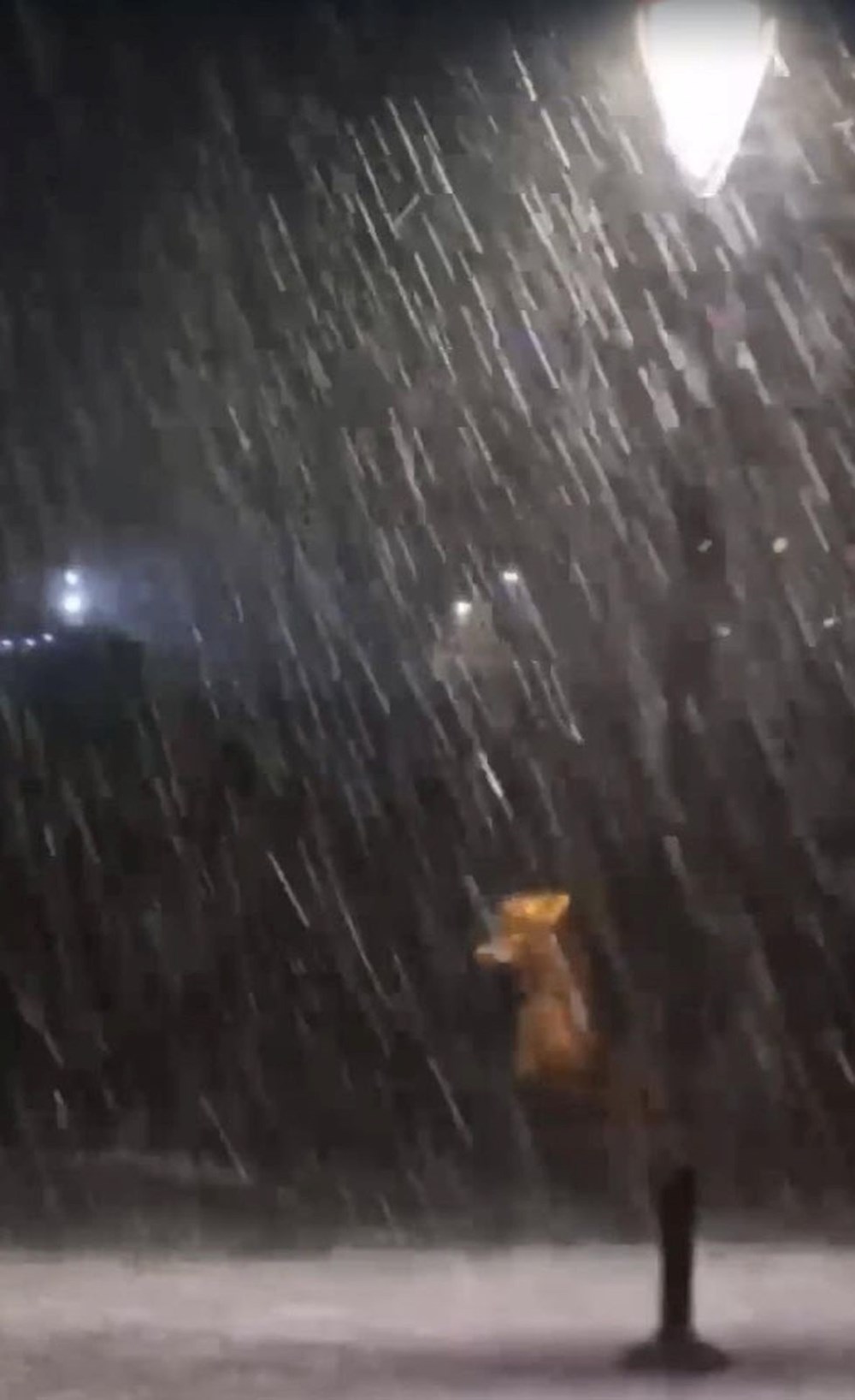 Ege Beyaza Boyandı: Fırtına Ağaçları Devirdi, Caddeleri Buz Pistine Çevirdi 76 6WZdpJSFm0OSnuZIBGSKwA