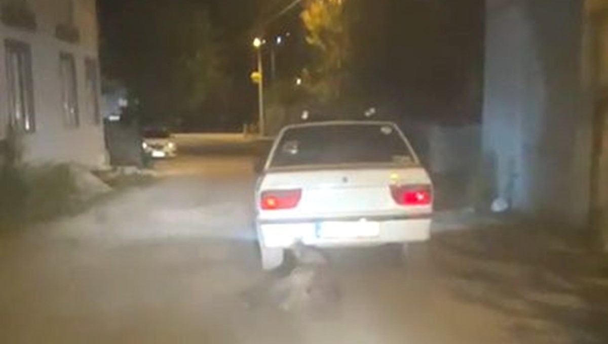 Yaban domuzunu metrelerce sürükledi Yaban domuzunu metrelerce sürükledi