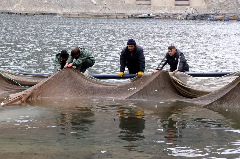 Denizi olmayan şehirden binlerce ton balık ihraç ediliyor - 1