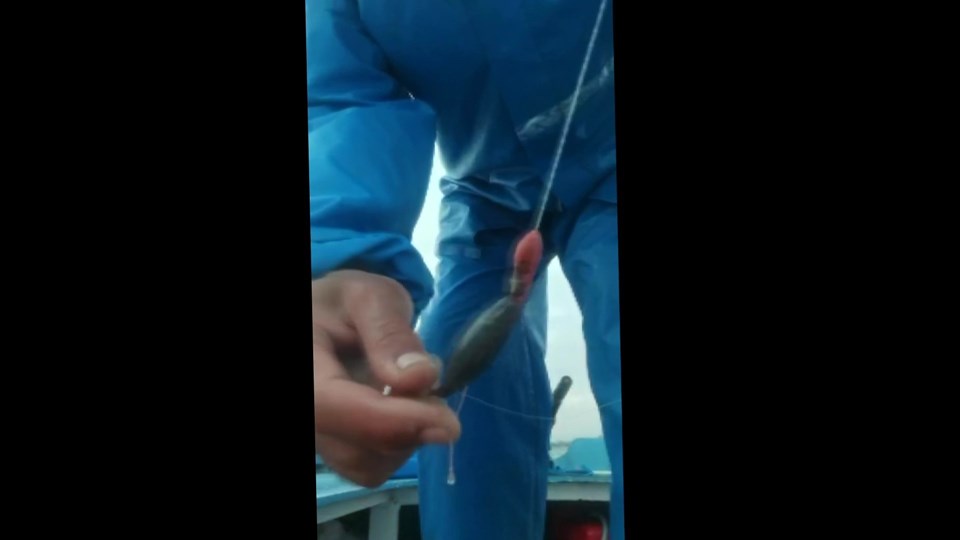 Pendik’te balıkçıların oltasına takılan yapışkan madde tedirgin etti - 1