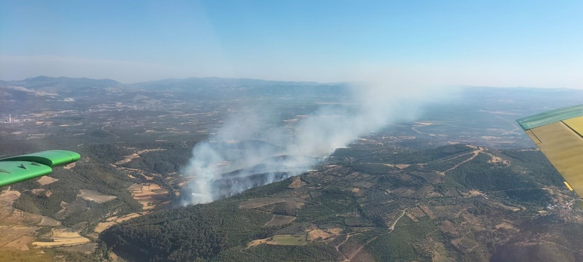 İzmir Bergama'da orman yangını