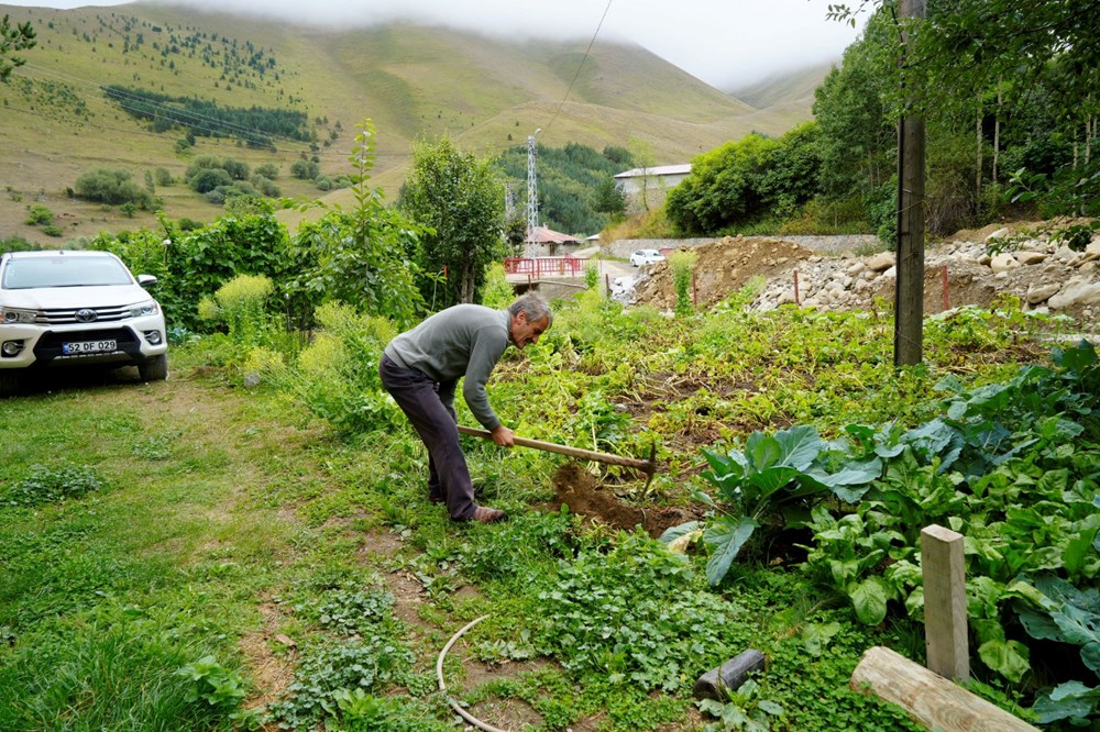 Gümüşhane'de emekli imam kendi imkânlarıyla köyüne 50 bin ağaç dikti - 2