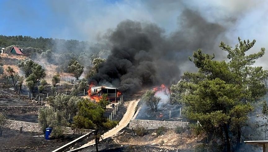 İzmir'de tarım arazisinde yangın: Alevler ormanlık alana sıçradı