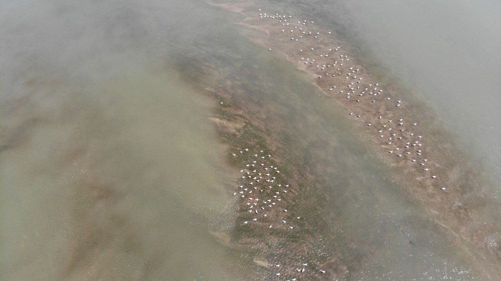 Meriç Nehri'nde kuraklık alarmı - 4