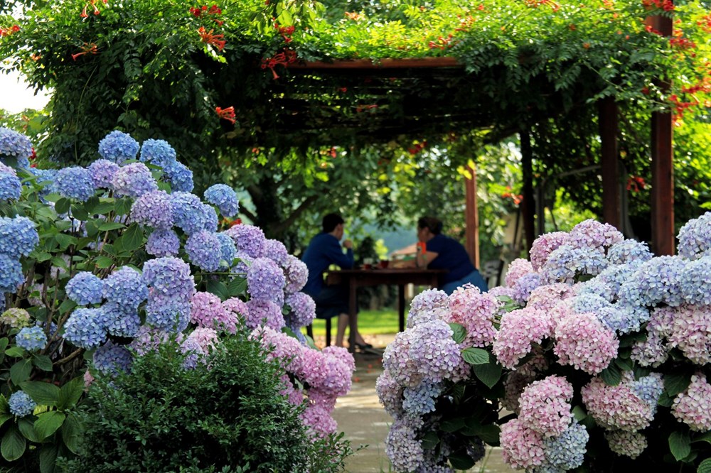 تركيا اليوم اقتراحات لعطلة العيد: تعرف على أماكن للزيارة بالقرب من اسطنبول اقتراحات عطلة العيد: أماكن للزيارة بالقرب من إسطنبول - 35