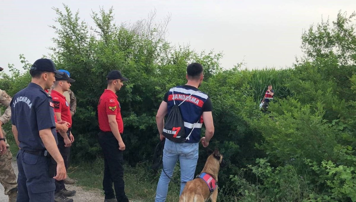 Mısır tarlasında kaybolan bir kişi özel eğitimli köpeklerle aranıyor Mısır tarlasında kaybolan bir kişi özel eğitimli köpeklerle aranıyor