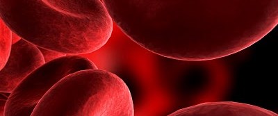 Deriden kan nakli! - Son Dakika Türkiye Haberleri | NTV Haber