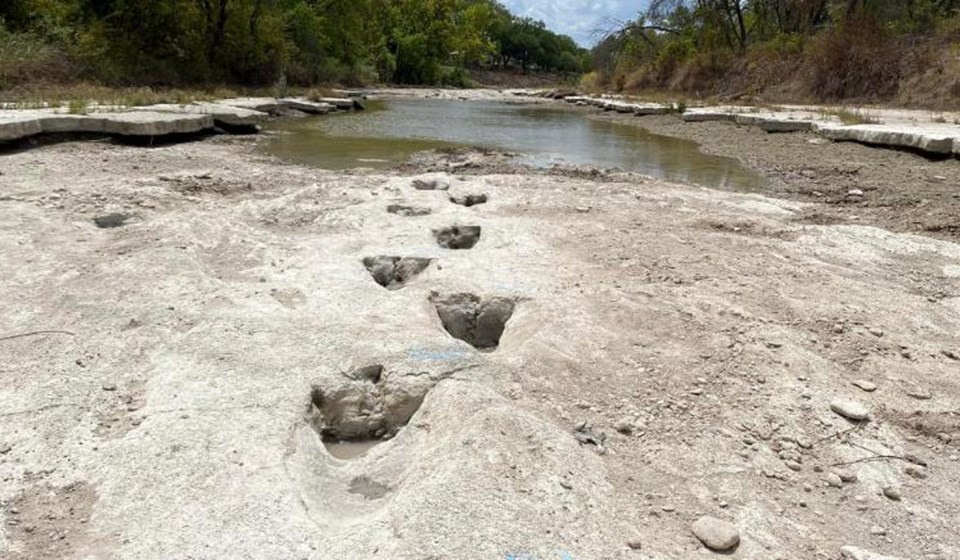 Sular çekilince 113 milyon yıl öncesine ait dinozor izleri ortaya çıktı - 1