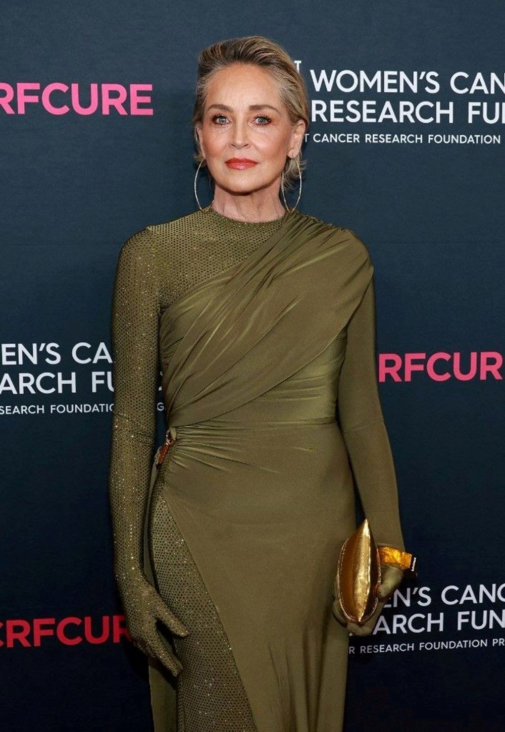 Sharon Stone'dan Kurtlar Vadisi itirafı: Çok iyi para verdiler ama kimse İngilizce bilmiyordu - 6