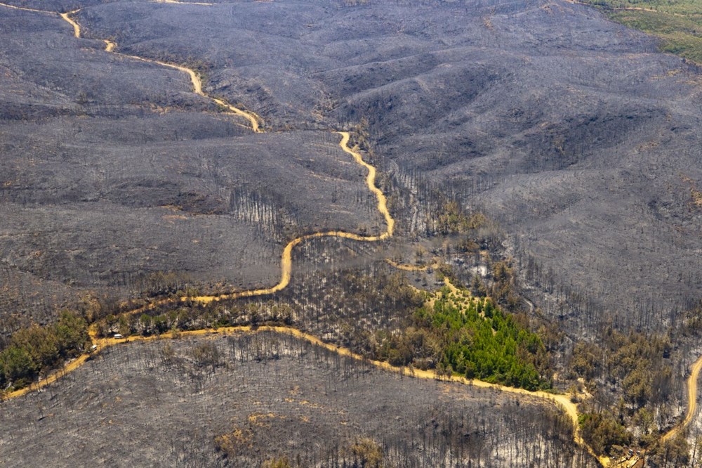 Yangının başladığı bölge ve yanan ormanlık alan havadan görüntülendi - 12