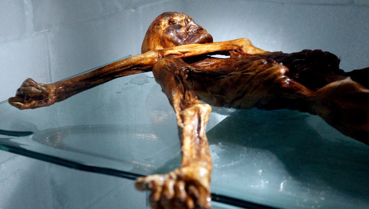 Buzul mumya Ötzi'nin Anadolulu olduğu belirlendi