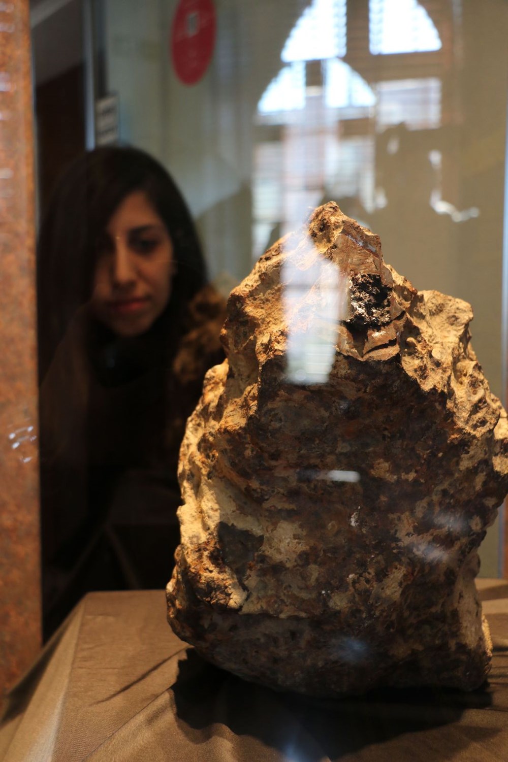 Çorum'dan ABD'ye: Tarlasında buldu, 1.3 milyon liraya sattı - 17