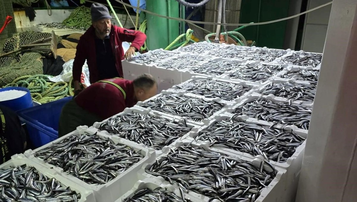 Kastamonu'da balık bereketi! Tezgahın incisi yine o oldu