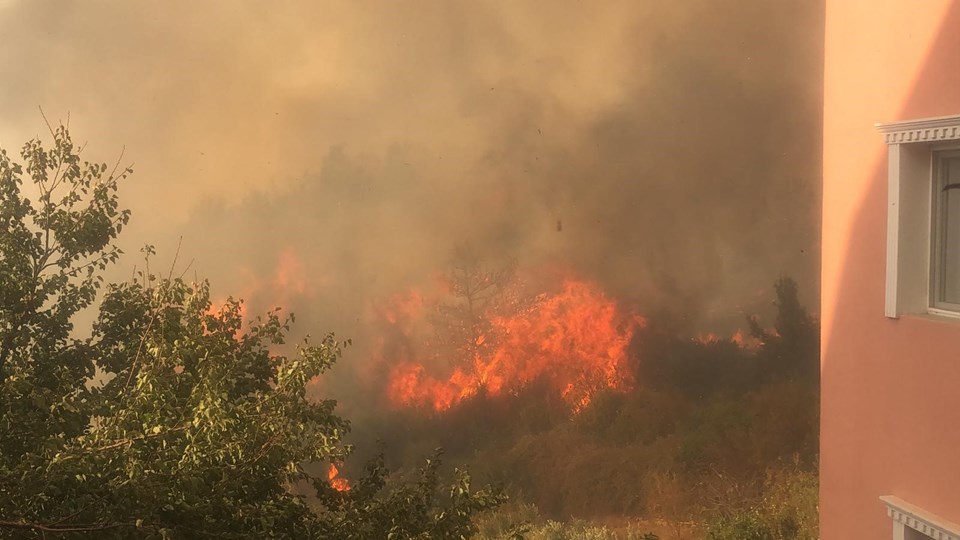 Hatay'da orman yangını sürüyor - 1