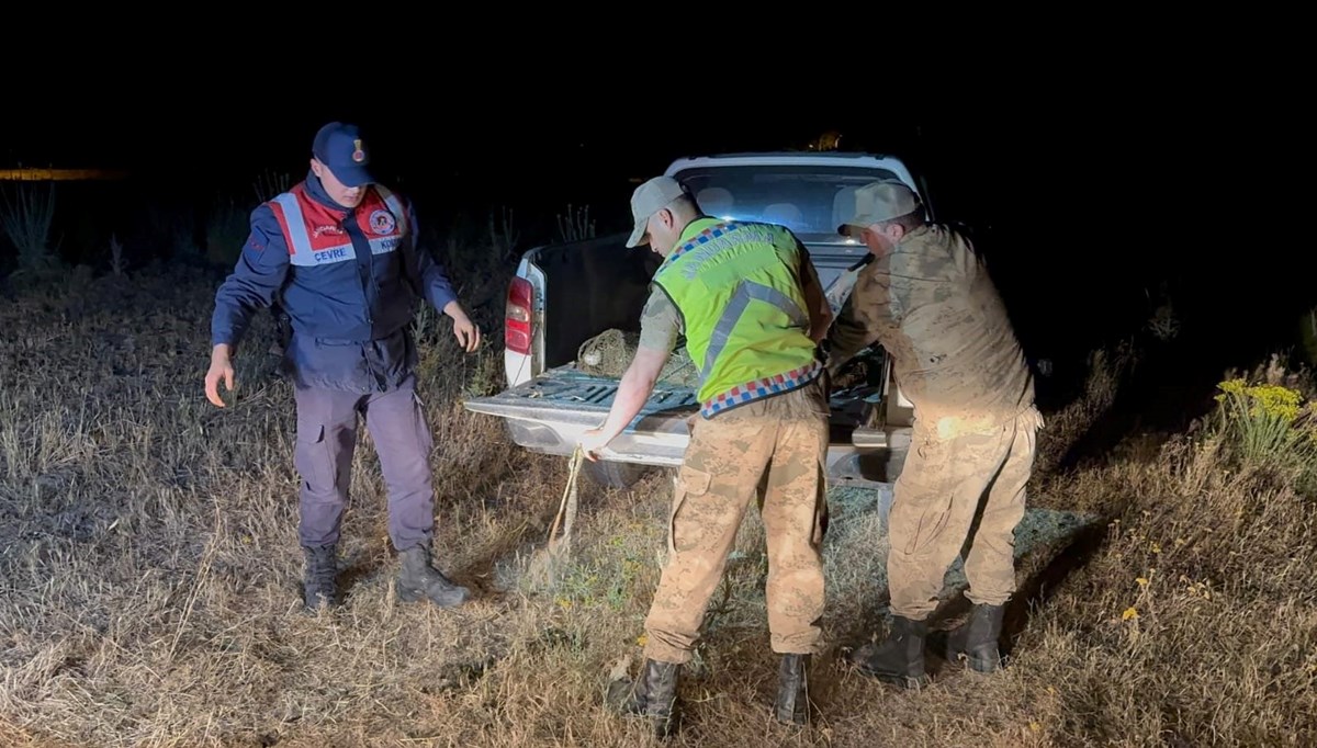 Van’da 1,5 ton inci kefali ele geçirildi Van’da 1,5 ton inci kefali ele geçirildi