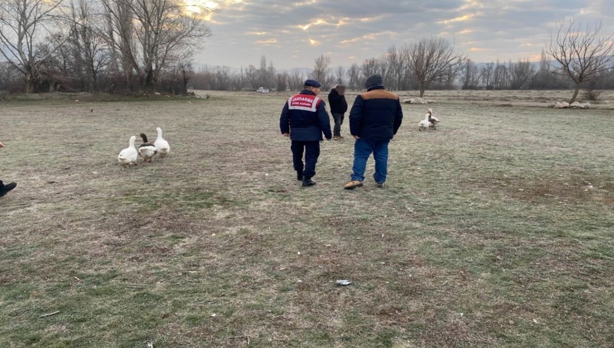 Çorum'da kaz dövüşü yaptıran 7 kişiye para cezası