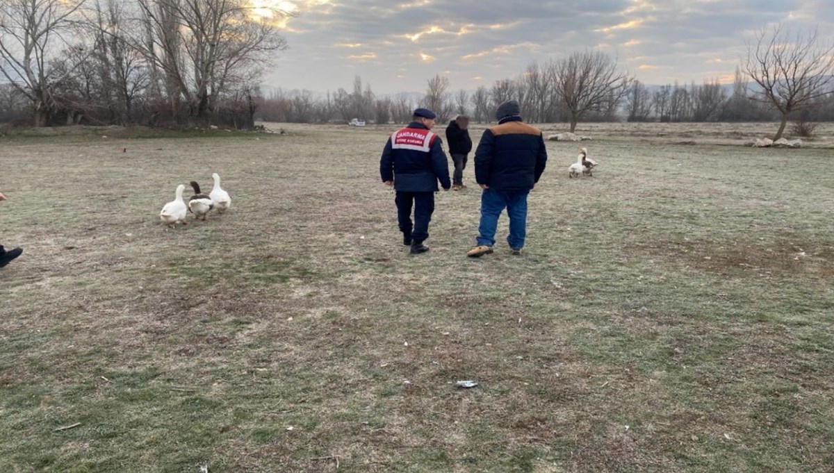 Çorum'da kaz dövüşü yaptıran 7 kişiye para cezası Çorum'da kaz dövüşü yaptıran 7 kişiye para cezası