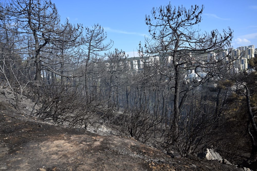 İstanbul Maltepe'de orman yangını - 22