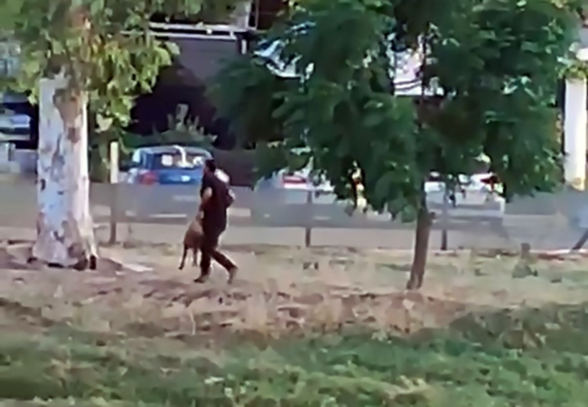 Koyunu önce tekmeledi, sonra havaya kaldırıp yere vurdu