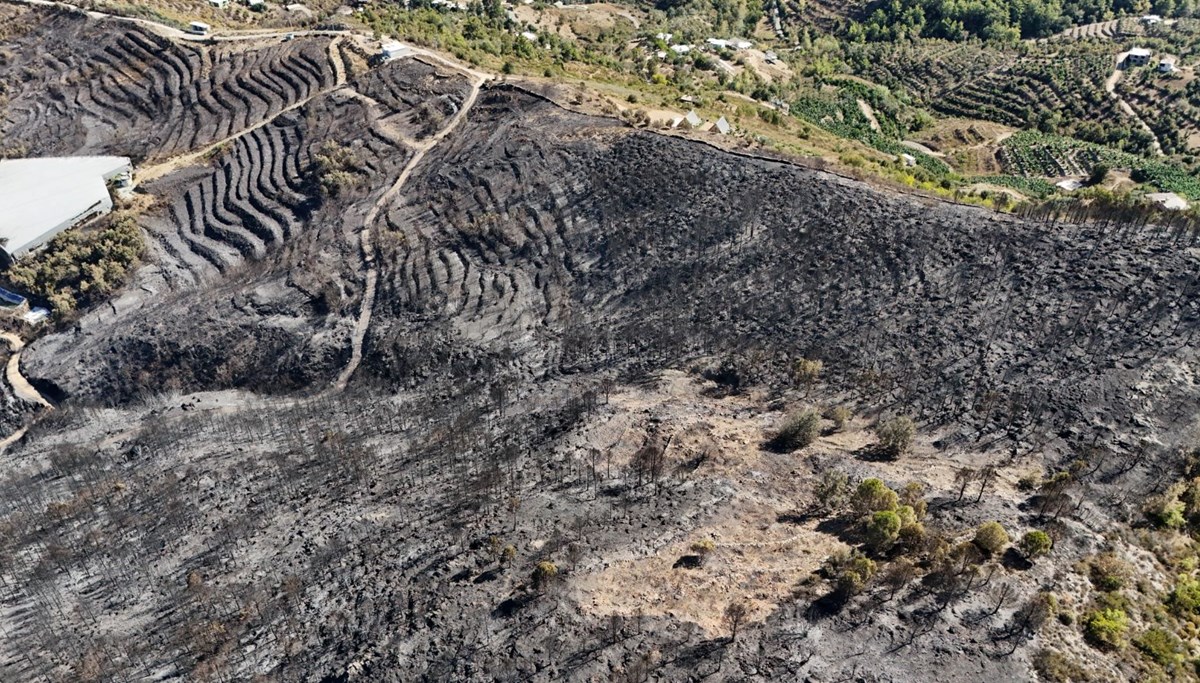 Antalya'daki orman yangının bilançosu havadan görüntülendi