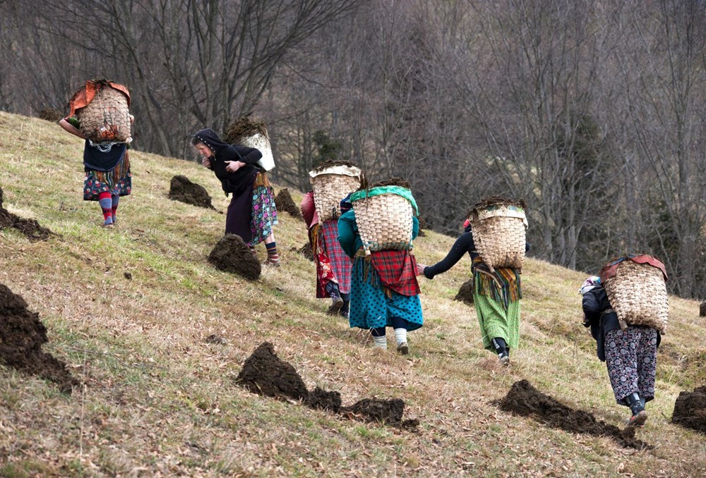 Karadeniz'in çalışkan kadınları: Köy toplansa evde tutamaz - 12