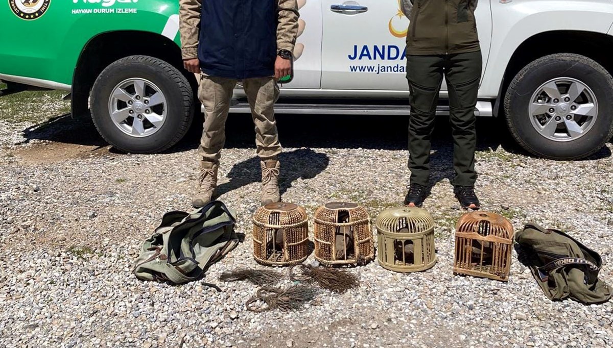 Kaçak keklik avlananlara 67 bin 703 TL ceza Kaçak keklik avlananlara 67 bin 703 TL ceza