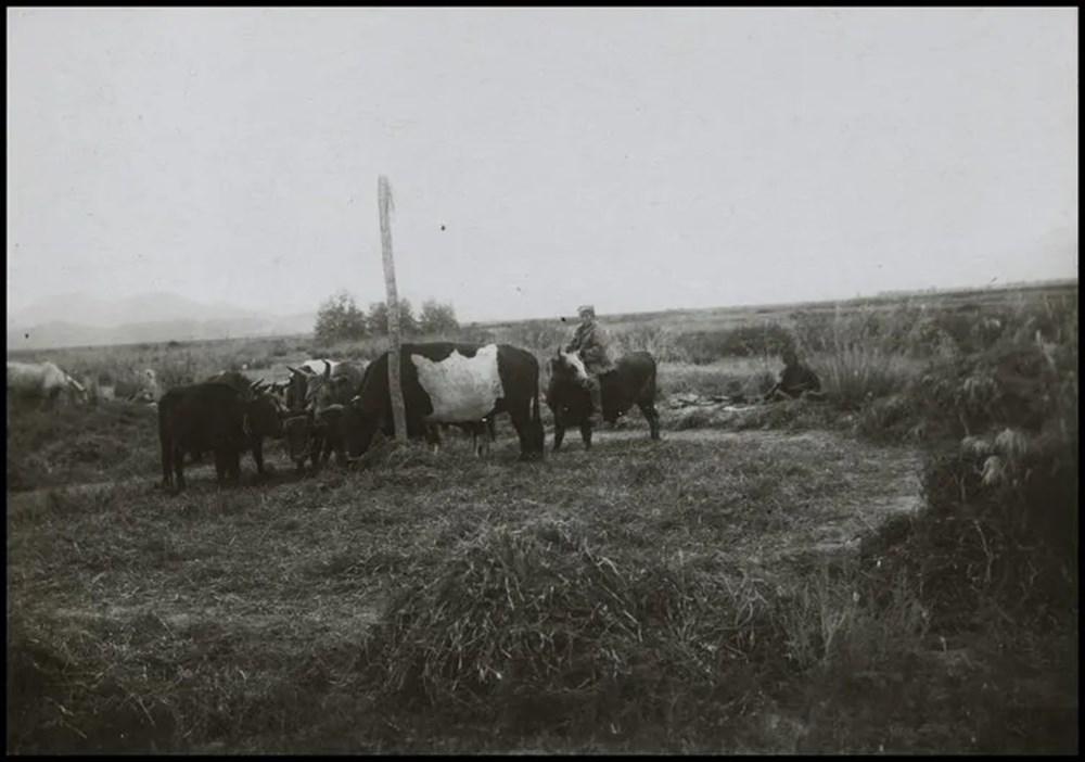Bilim kurgu değil Türk boylarının 111 yıllık fotoğrafları. Gizemli heykeller, gelişmiş aletler, tanıdık kıyafetler (106 fotoğrafla gizemli Türk tarihi) - 95