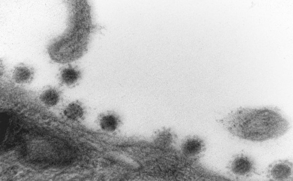 Rusya'da corona virüsün Delta Plus mutasyonu görüntülendi - 2
