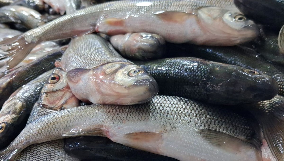 Tezgahlar şenlendi: Fiyatı uygun, ilgi ve talep arttı