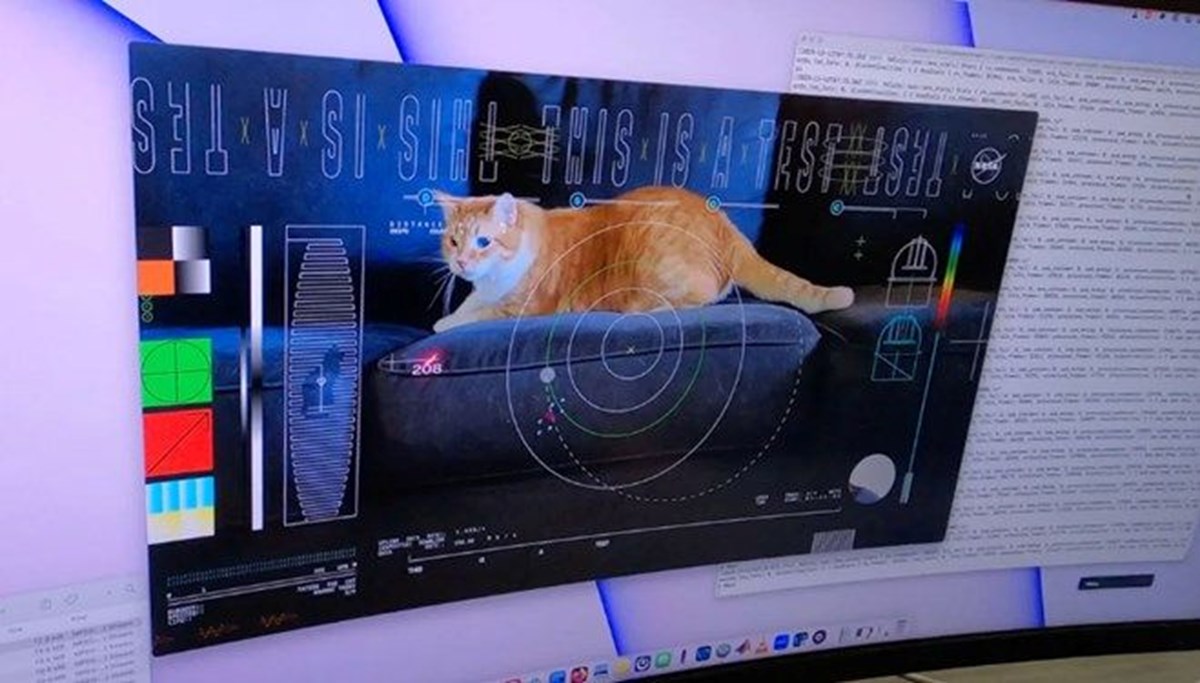 NASA 31 milyon kilometre öteden kedi videosu gönderdi NASA 31 milyon kilometre öteden kedi videosu gönderdi