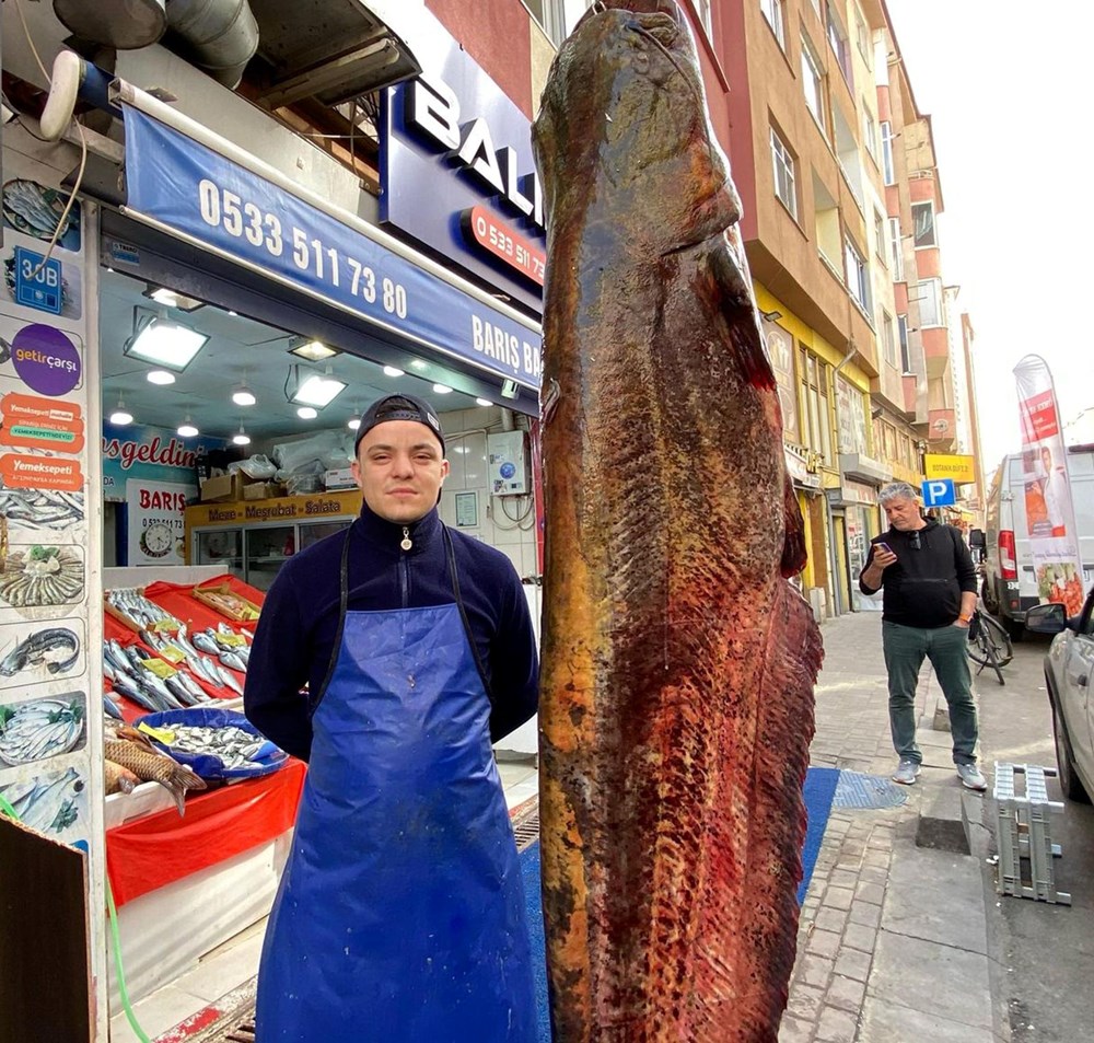 Meriç Nehri’nde yakalandı, tam 3 metre: Kilosu 450 liradan satışta 75 70b2RWNsY0yFEpI 6IA0mw