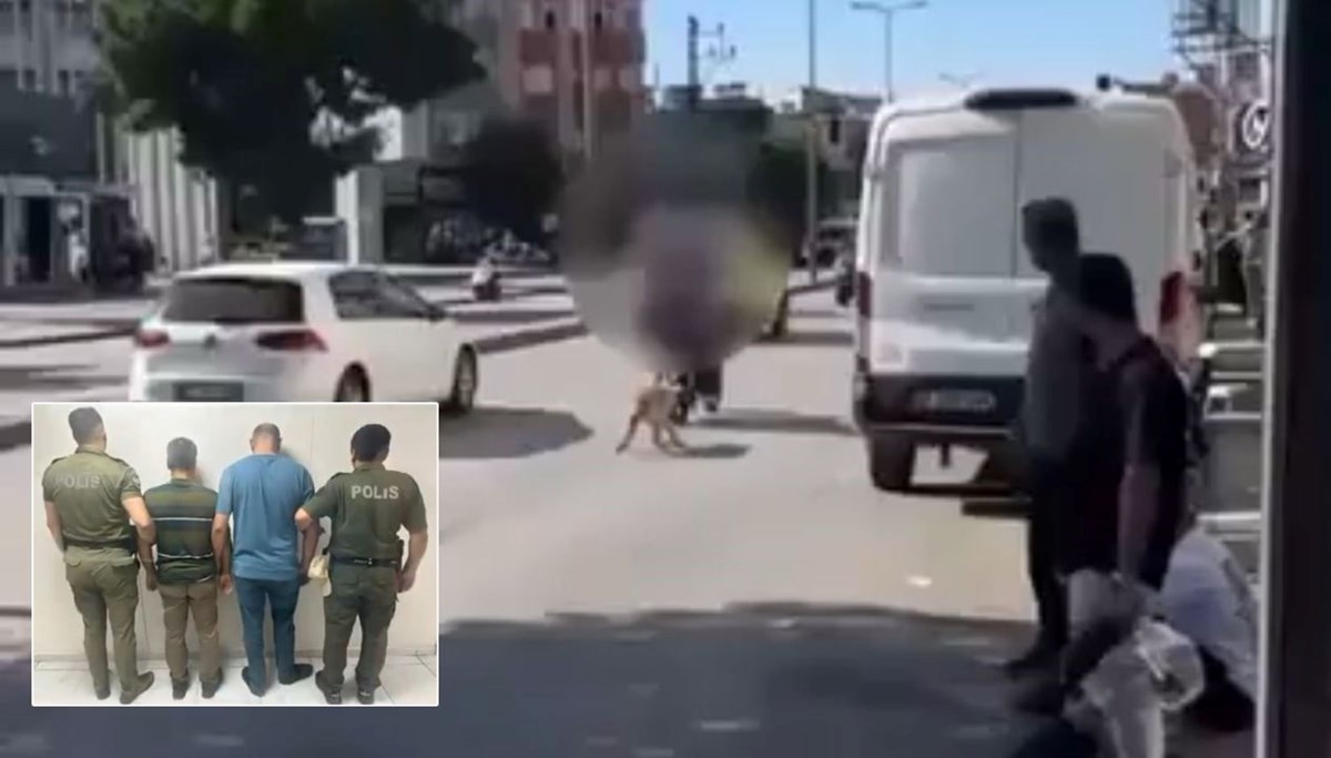 Köpeği sürüklediler