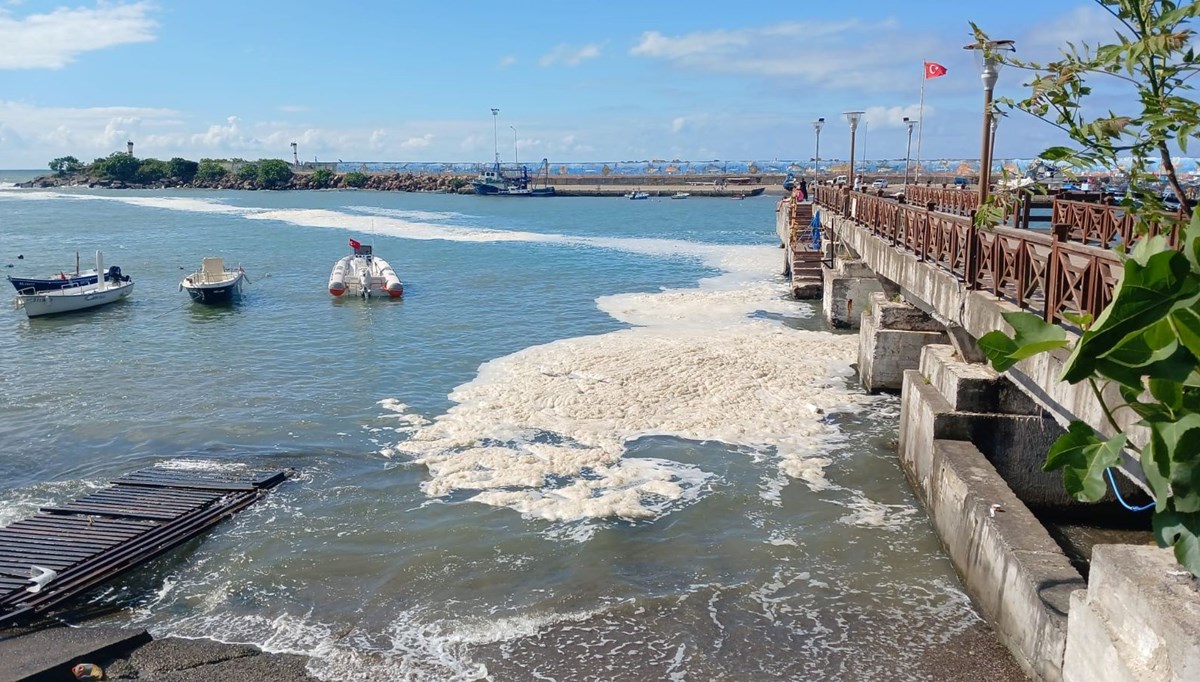 Karadeniz'de müsilaj yayılıyor