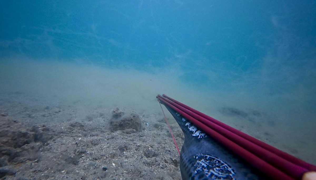 Çanakkale Boğazı'nda deniz dibine müsilaj çöktü Çanakkale Boğazı'nda deniz dibine müsilaj çöktü