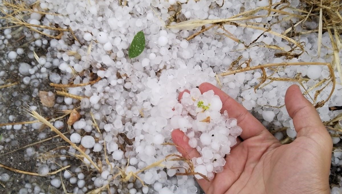 Erzincan’da dolu etkili oldu