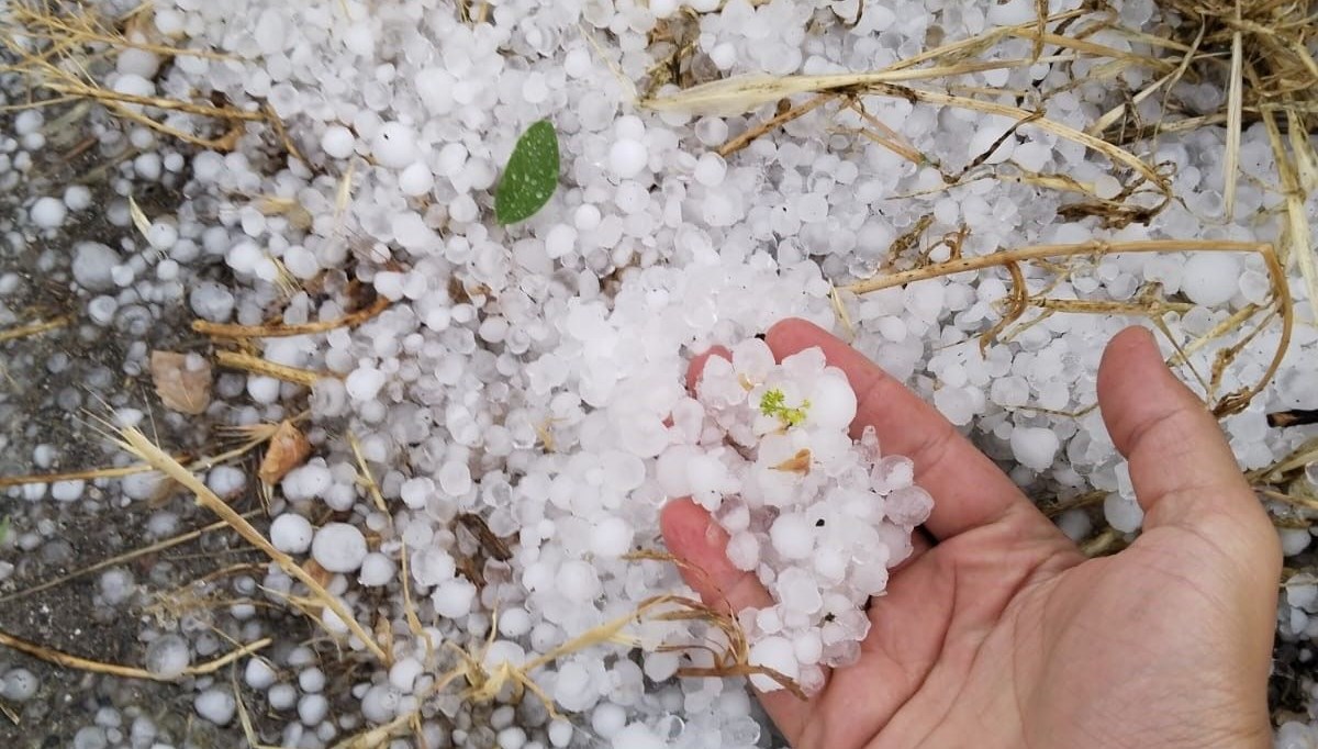 Erzincan’da dolu etkili oldu Erzincan’da dolu etkili oldu