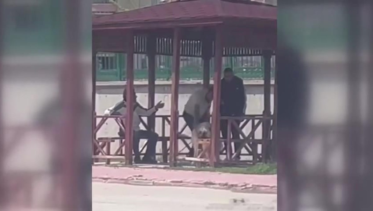 Köpeği kemerle dövdü Köpeği kemerle dövdü