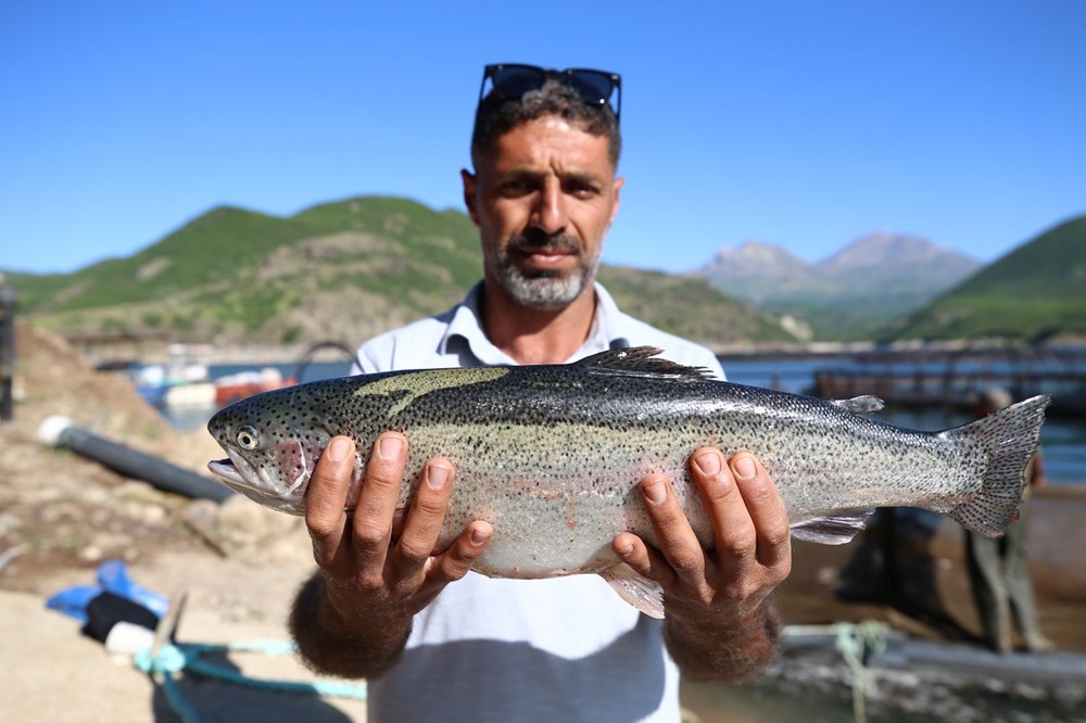 Bingöl'ün berrak sularında yetiştirilen somonlar dünya sofralarına ulaşıyor 72 73Lfnt2aN0