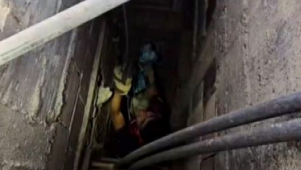 Mahsur kalan kediyi itfaiye kurtardı